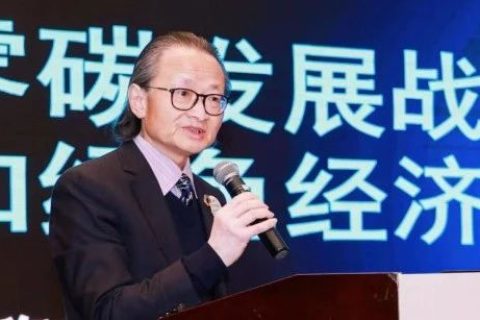 零碳发展战略和绿色经济丨联合国环境环境署原高级经济专家盛馥来