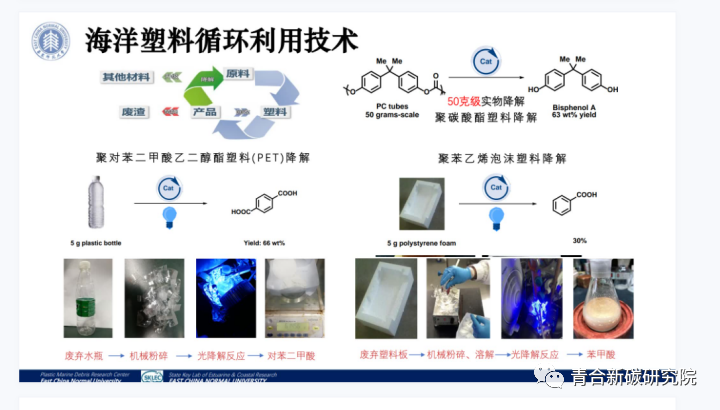 关于塑料国际公约与塑料循环利用丨华东师范大学李道季教授