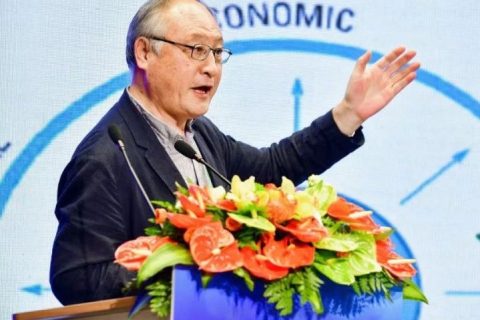青合研究院科学战略委员会委员诸大建专访文章谈ESG