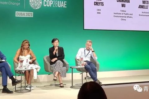青合研究院战略与科学委员会吴昌华特稿 | 迪拜气候大会札记