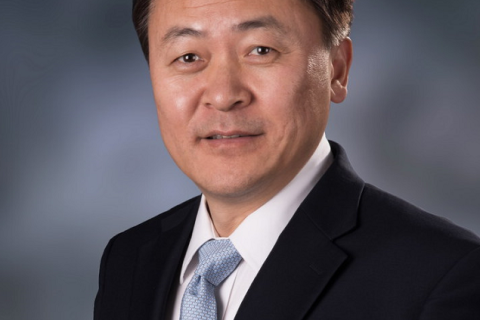 车巍 国际绿色能源问题专家
