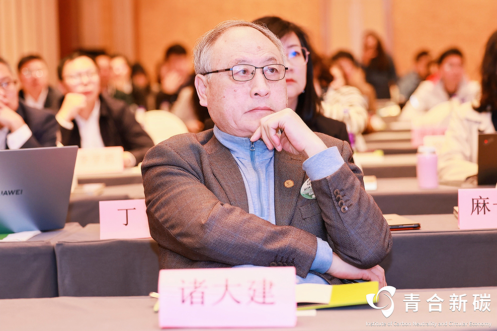 诸大建教授